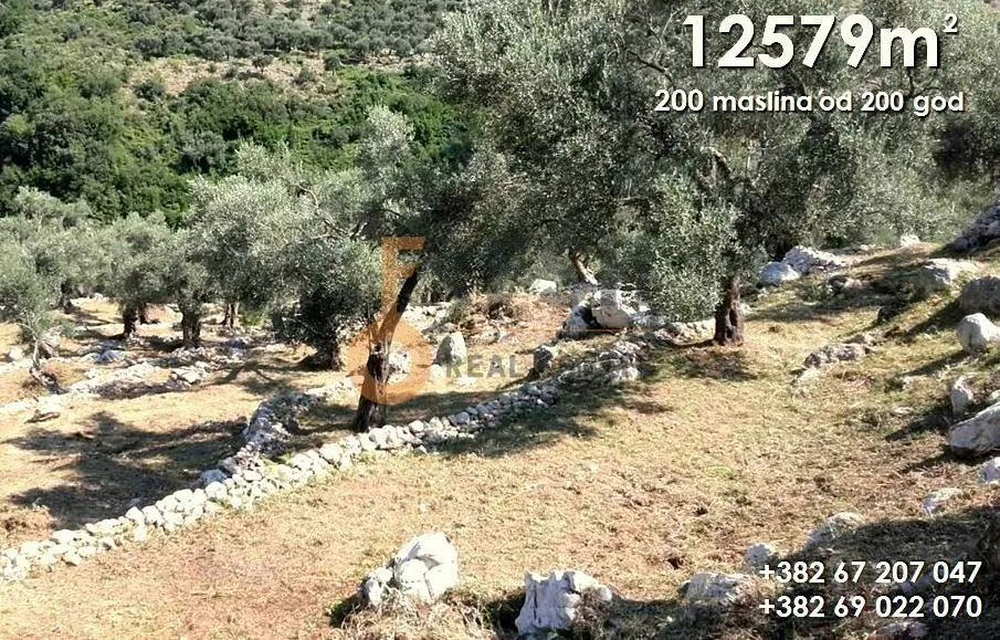 Prodaja, plac, 12579m², Bar, Crna Gora