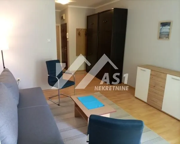 Izdavanje, stan, 30m², Grbavica, Novi Sad Sve Podlokacije