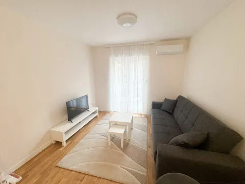 Izdavanje, jednosoban stan, 40m², Zabjelo, Podgorica - image 4