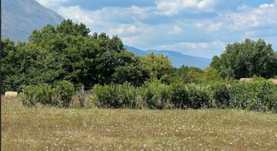 Prodaja, plac, 840m², Begovina, Danilovgrad
