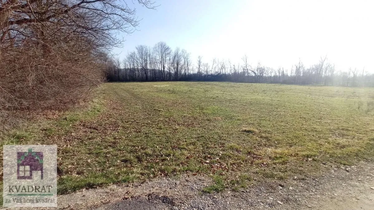 Sale, land lot, 4600m², Draževac, Obrenovac
