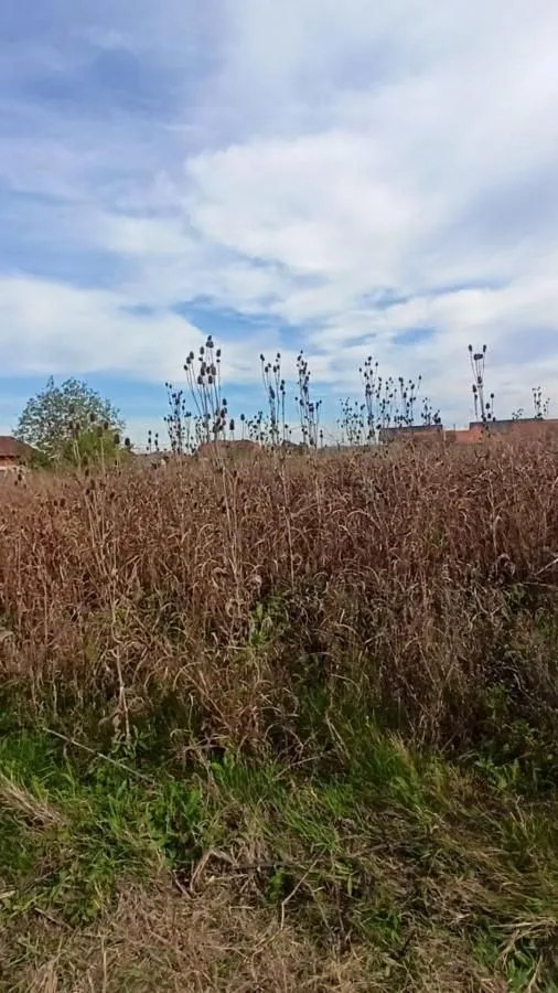Prodaja, plac, 660m², Jagodina, Srbija