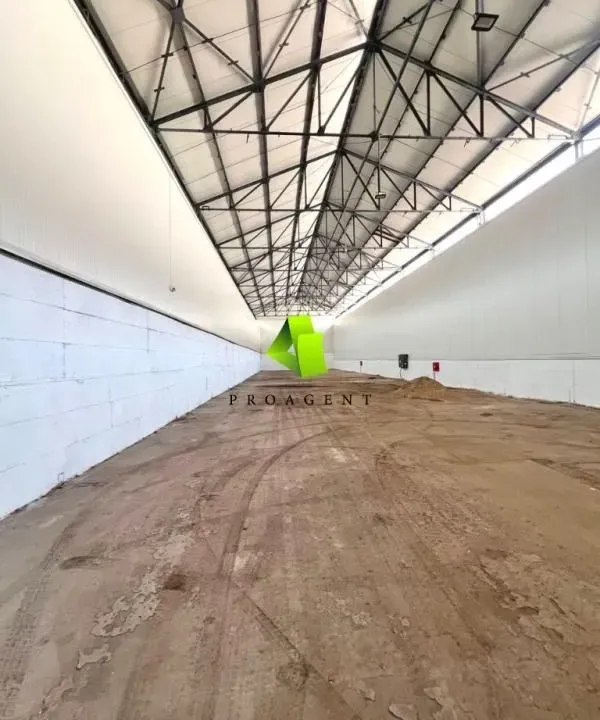 Izdavanje, poslovni prostor, 1150m², Medijana, Niš