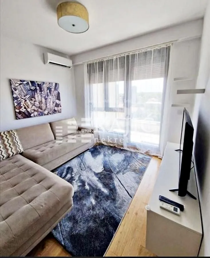 Living room with a corner sofa, rug, and TV unit.