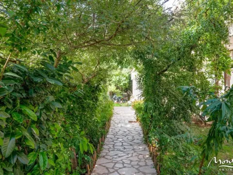 Prodaja, poslovni prostor, 537m², Budva, Crna Gora - image 4