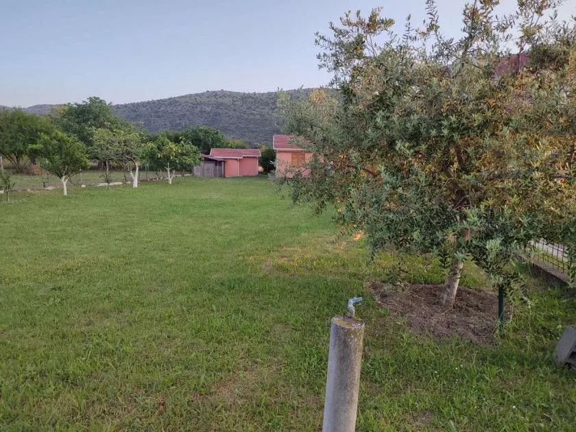 Prostrano dvorište sa travnjakom, drvećem i pomoćnim objektima u pozadini.