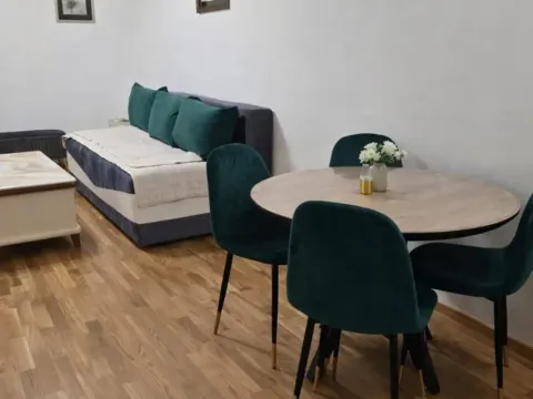 Rent, one bedroom apartment, 45m², Zagorič, Podgorica - image 2