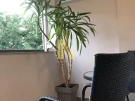 Izdavanje, dvosoban stan, 60m², Novo naselje, Novi Sad - image 17