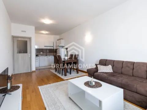 Izdavanje, jednosoban stan, 50m², Stari Aerodrom, Podgorica - image 2