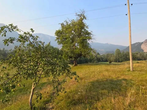 Prodaja, plac, 9892m², Kolašin, Crna Gora - image 5