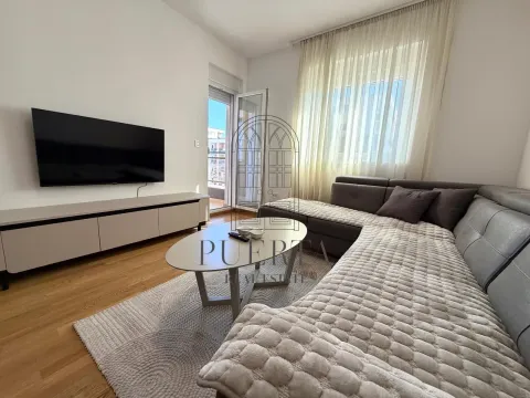 Izdavanje, jednosoban stan, 46m², Stari Aerodrom, Podgorica - image 2