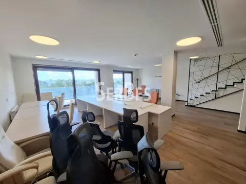 Rent, office space, 314m², Liman 3, Novi Sad Sve Podlokacije - image 1