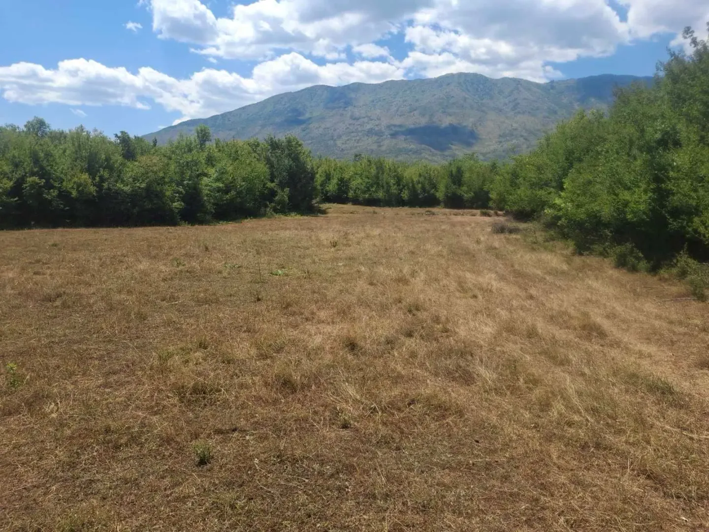 Sale, land lot, 80000m², Slap, Danilovgrad