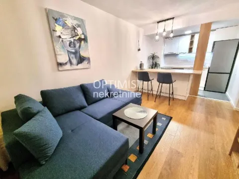 Izdavanje, dvosoban stan, 39m², Savski Venac, Beograd - image 2