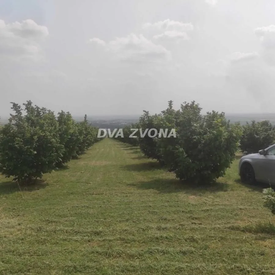 Prodaja, plac, 6800m², Stari Slankamen, Inđija