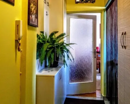 Prodaja, garsonjera, 30m², Gintaš, Podgorica - image 4