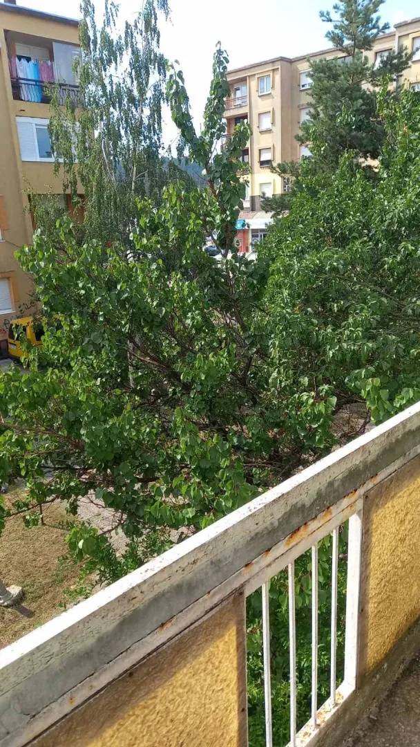 Pogled sa terase na zelenilo i okolne zgrade.