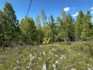 Sale, land lot, 470m², Borje, Žabljak - image 2