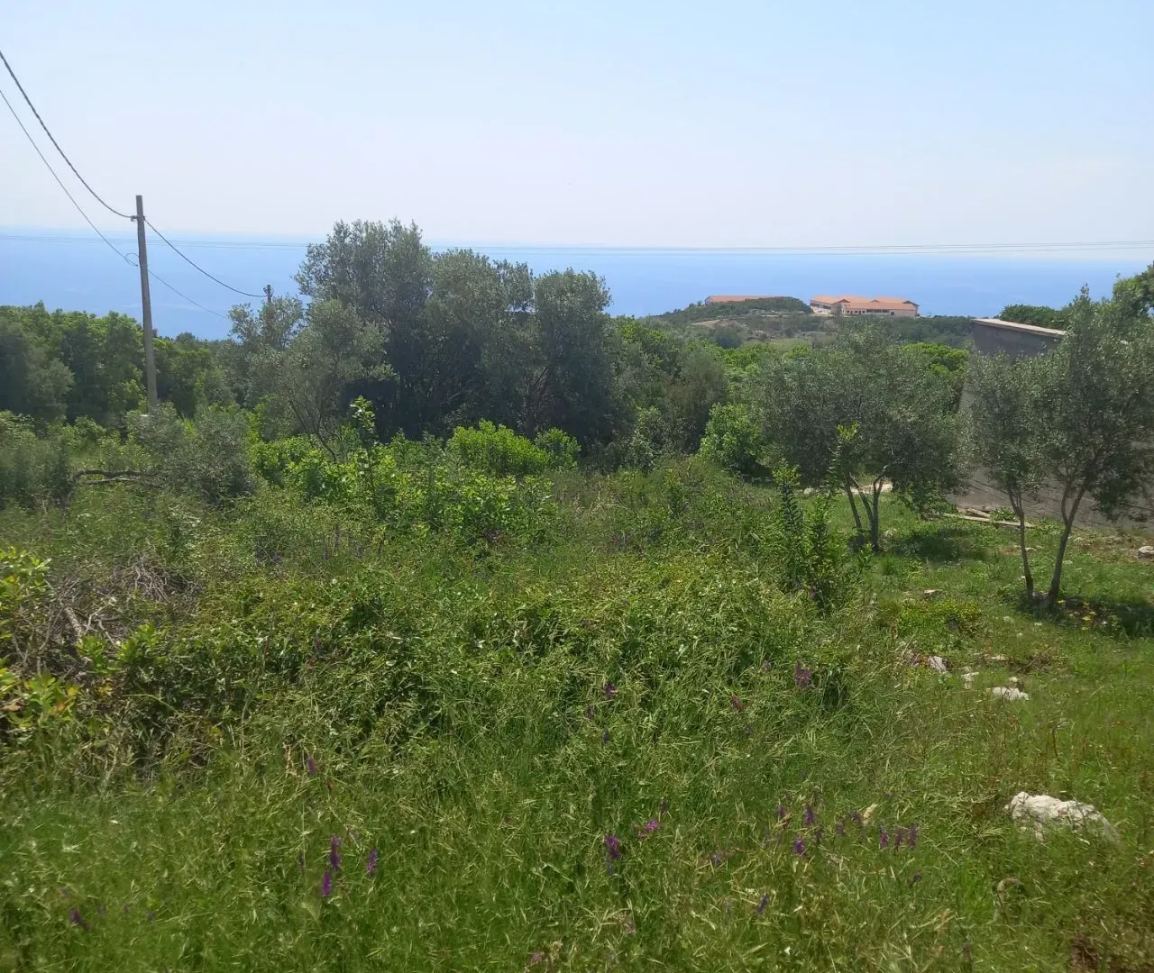 Prodaja, plac, 487m², Krimovica, Kotor