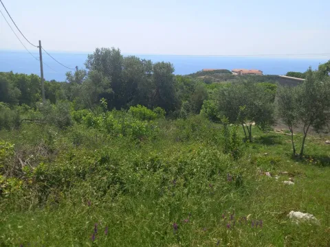 Zemljište in Krimovica