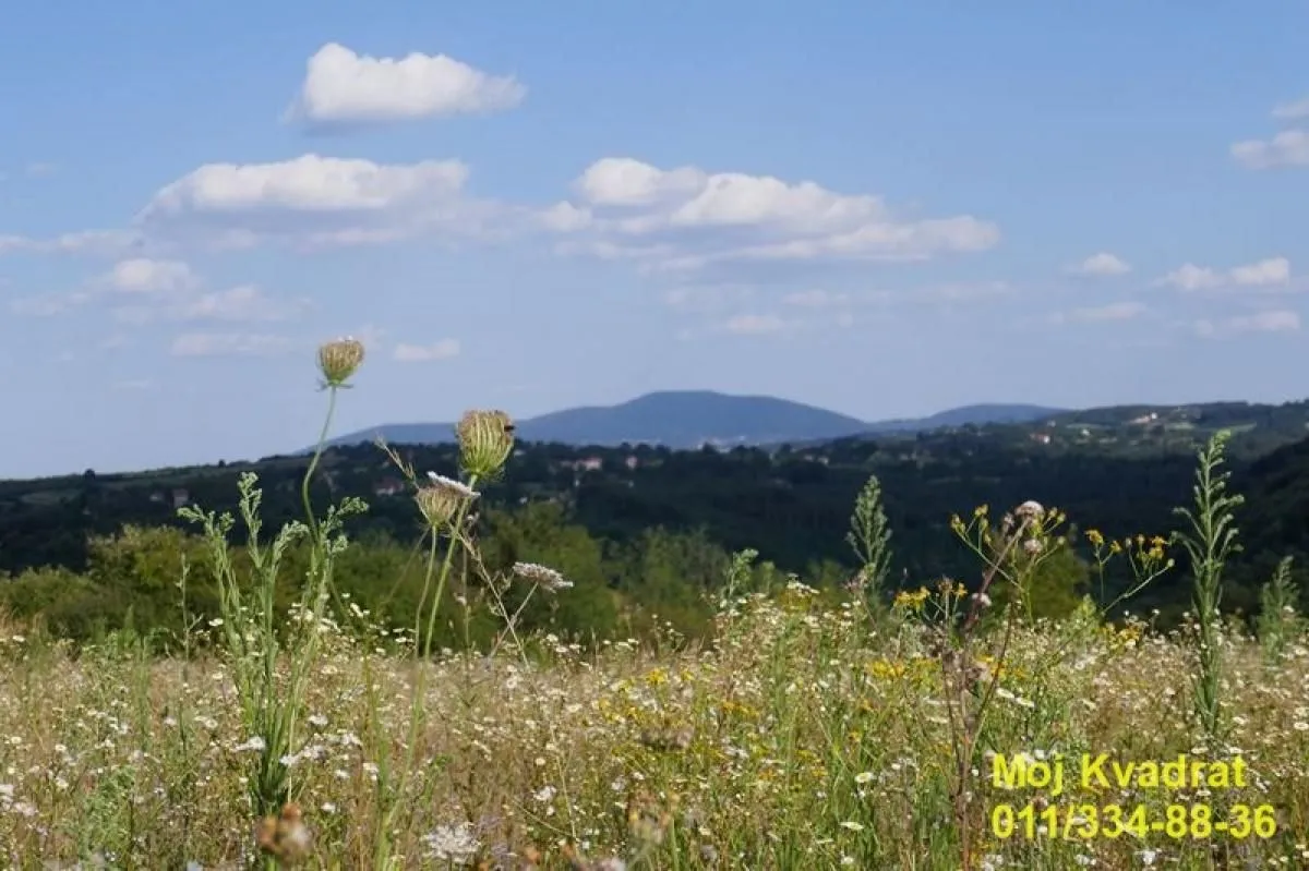 Sale, land lot, 6300m², Arnajevo, Barajevo