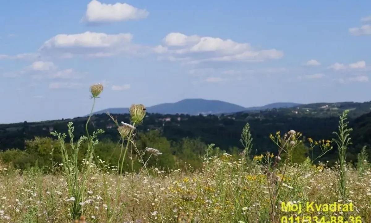 Prodaja, plac, 6300m², Arnajevo, Barajevo