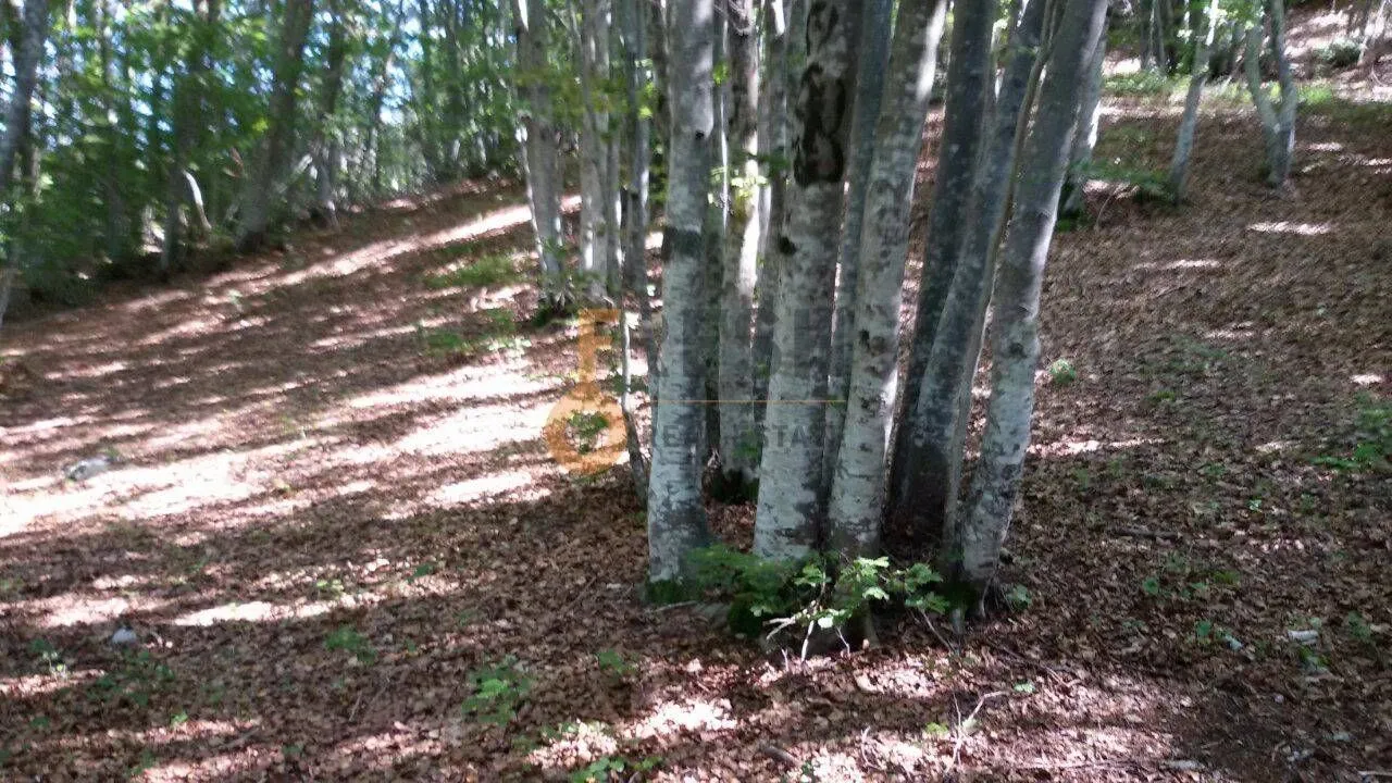 Prodaja, plac, 100000m², Cetinje, Crna Gora