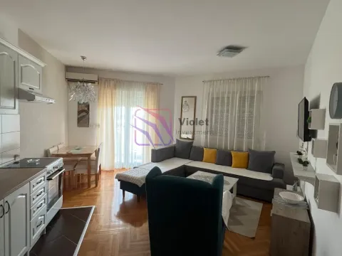 Rent, one bedroom apartment, 45m², Stari Aerodrom, Podgorica - image 1