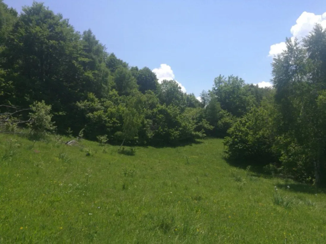 Sale, land lot, 225000m², Padež, Kolašin
