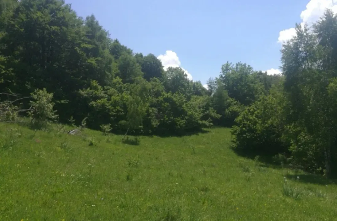 Prodaja, plac, 225000m², Padež, Kolašin