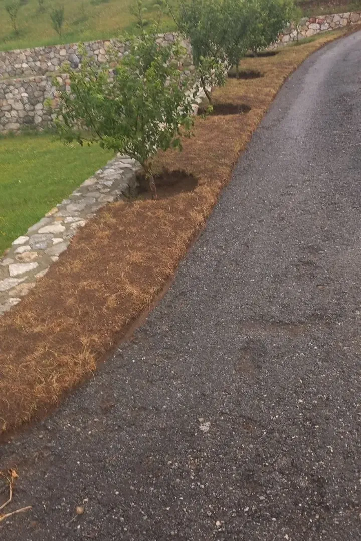 Prodaja, plac, 6000m², Kolašin, Crna Gora