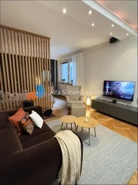 Izdavanje, jednosoban stan, 50m², Stari Grad, Beograd - image 3