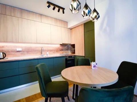 Izdavanje, jednosoban stan, 47m², City Kvart, Podgorica - image 4