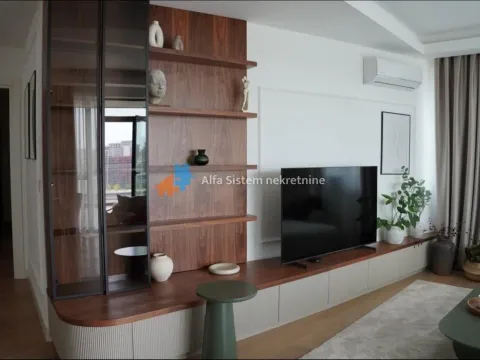 Izdavanje, stan, 200m², Savski Venac, Beograd - image 3