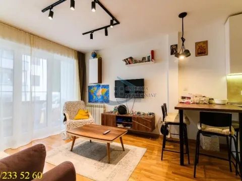 Sale, two bedroom apartment, 44m², Višnjička Banja, Palilula Sve Podlokacije - image 3