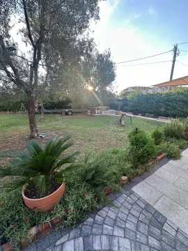 Uređeno dvorište sa travnjakom, zelenilom i popločanom stazom. - image 13
