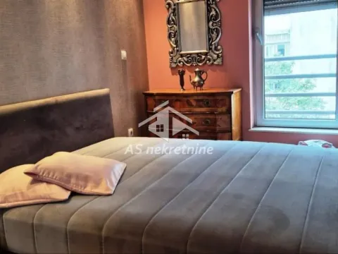 Izdavanje, dvosoban stan, 54m², Vračar Sve Podlokacije, Beograd - image 15