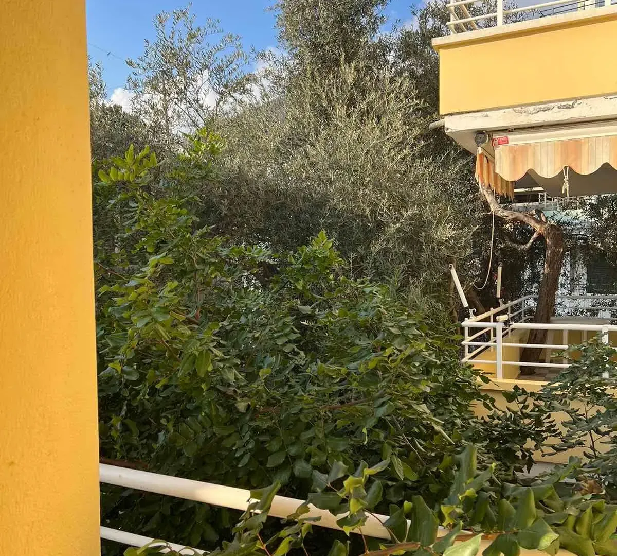 Prodaja, stan, 38m², Budva, Crna Gora