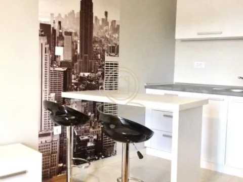 Rent, one bedroom apartment, 30m², Grbavica, Novi Sad Sve Podlokacije - image 4