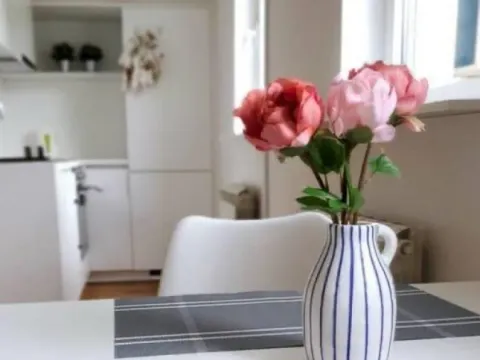 Prodaja, jednosoban stan, 35m², Vračar Centar, Vračar Sve Podlokacije - image 4