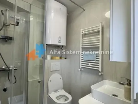 Izdavanje, stan, 40m², Stari Grad, Beograd - image 13