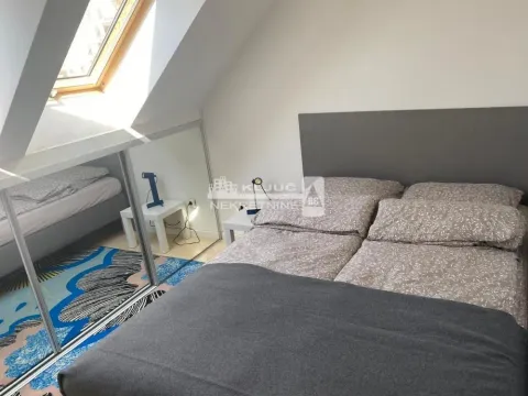 Izdavanje, jednosoban stan, 38m², Savski Venac, Beograd - image 8