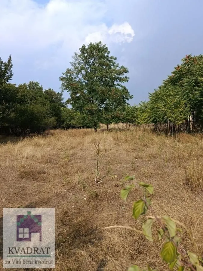 Prodaja, plac, 2600m², Brgulice, Obrenovac