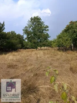 Prodaja, plac, 2600m², Brgulice, Obrenovac - image 3