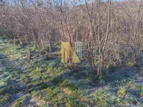 Prodaja, plac, 1900m², Beočin, Srbija - image 2