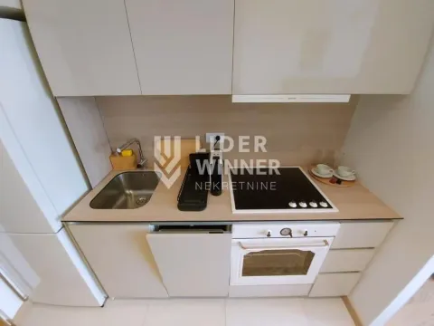 Izdavanje, stan, 30m², Savski Venac, Beograd - image 11