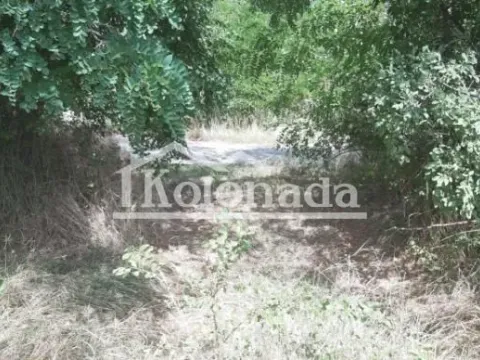 Prodaja, plac, 10745m², Sopot, Beograd - image 3