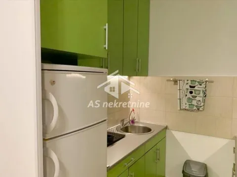 Izdavanje, dvosoban stan, 48m², Lipov Lad, Zvezdara Sve Podlokacije - image 7