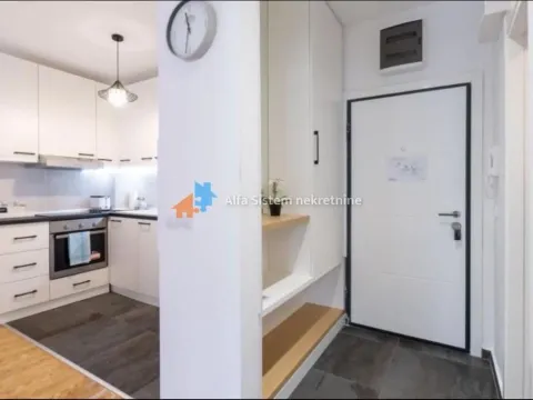 Rent, two bedroom apartment, 43m², Južni Bulevar, Vračar Sve Podlokacije - image 11