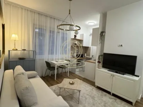 Izdavanje, dvosoban stan, 40m², Čubura, Beograd - image 9